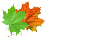 All Seasons Marquee Hire